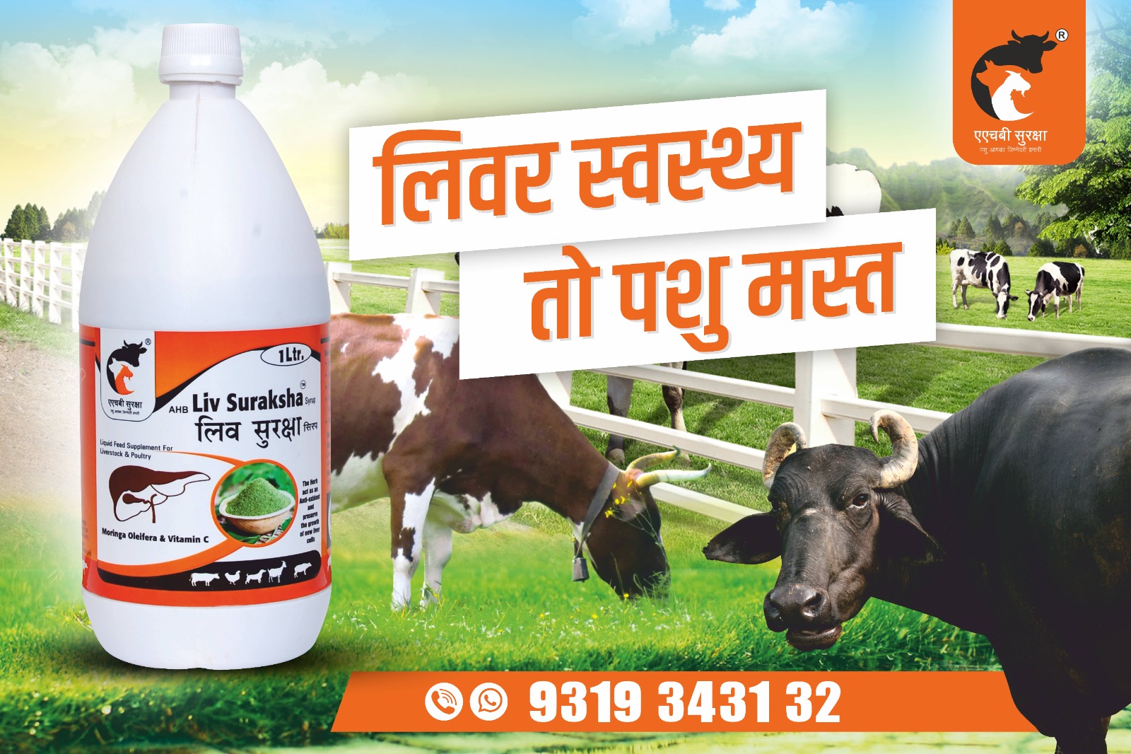 Animal Nutrition Image
